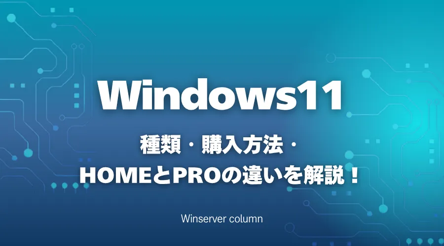 Windows 11ライセンスとは？種類・購入方法・HomeとProの違いを解説 
